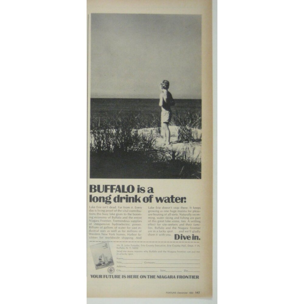 Buffalo Drinking Water Lake Erie Niagara Frontier 1960s Vintage ADVERT Print Ad